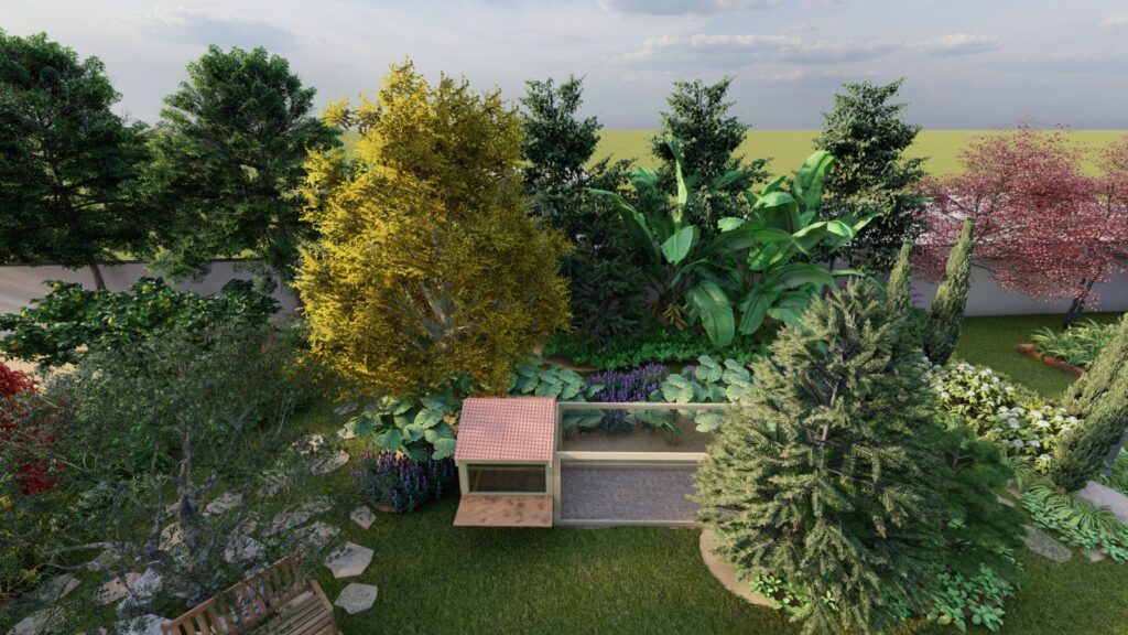 Serene garden pond surrounded by cottage garden plants – Islamabad