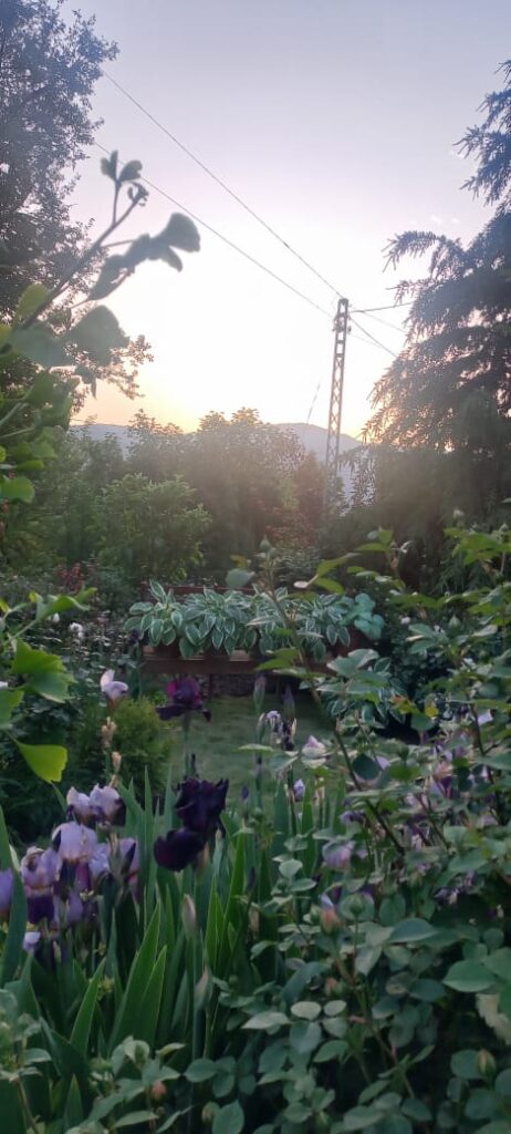 "Colorful flower beds and rustic charm in English Cottage Garden – expertly landscaped outdoor space"