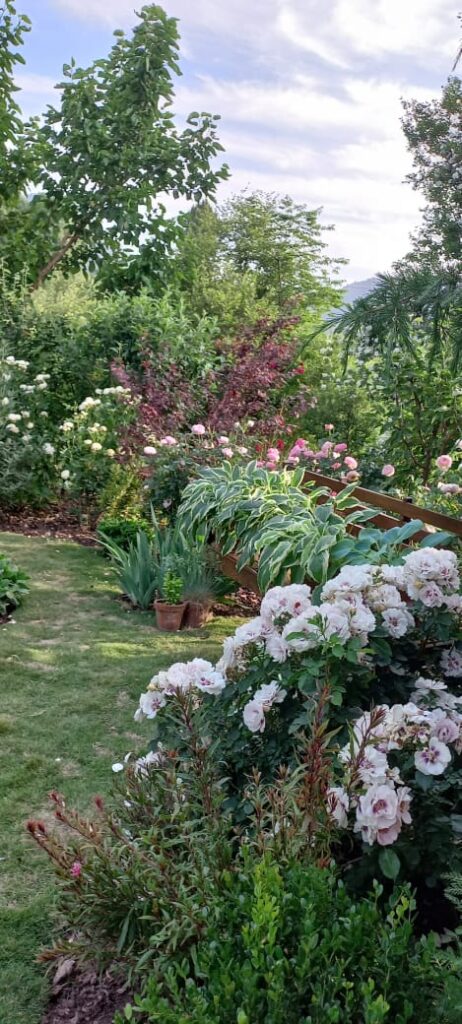 "Vintage-style English garden with trellises and mixed plantings – residential landscaping execution"