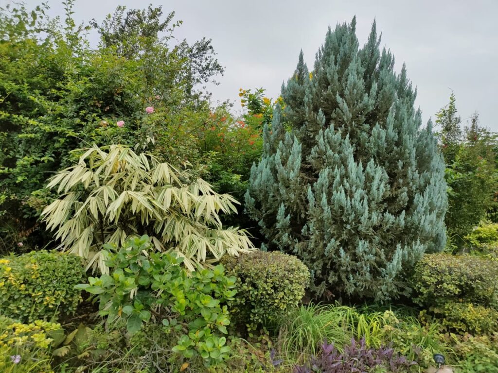 "Classic English garden path lined with roses and perennials – landscape design by LandscapeCompany.pk"