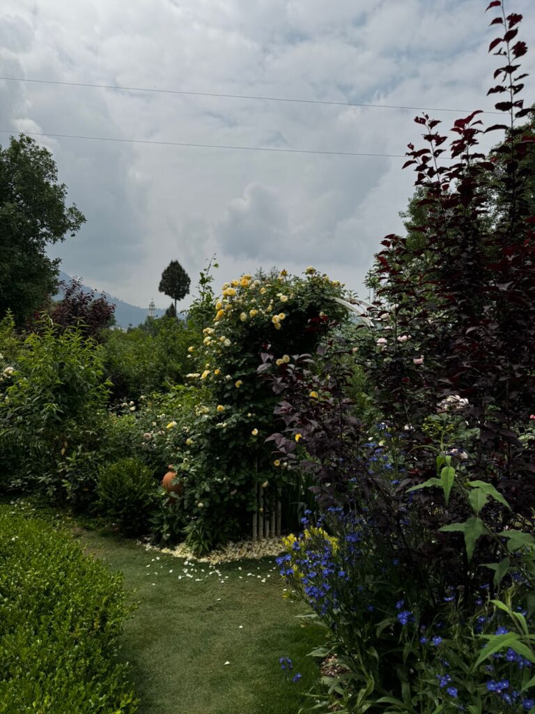 "Whimsical English Cottage Garden with natural textures and blooming layers – residential landscape project"