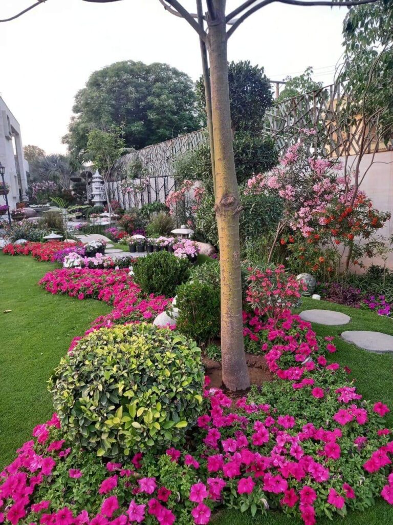 "Modern outdoor living space with structured greenery – Contemporary landscape execution by LandscapeCompany.pk"