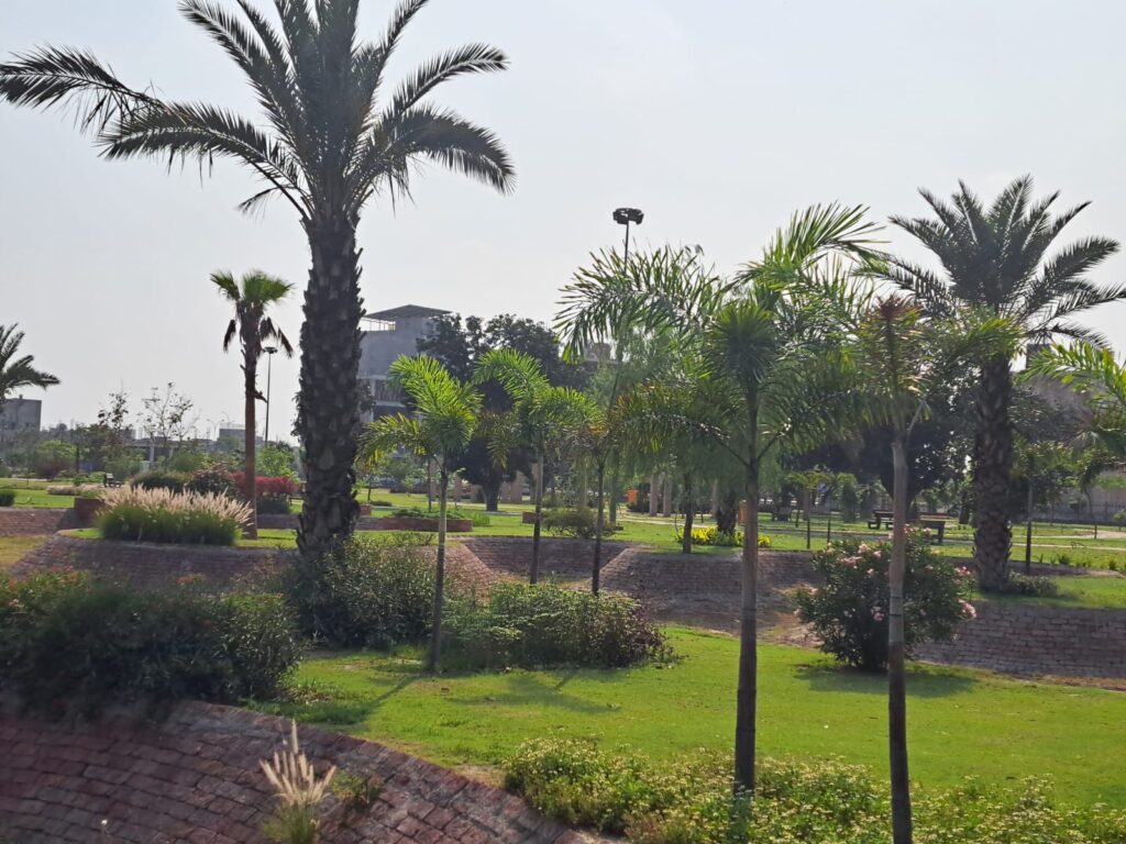 "Contemporary front yard with symmetrical layout and modern plant selection – completed landscaping project"