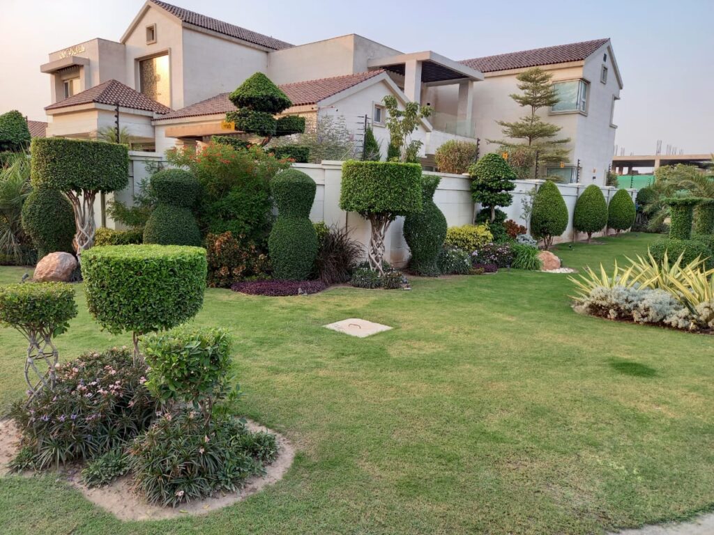 "Contemporary residential landscape with clean lines and minimalist planting – executed garden design project"