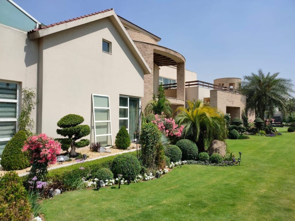 "Modern outdoor space at US Apparel House with clean hardscape and lush plantings – Executed landscape"