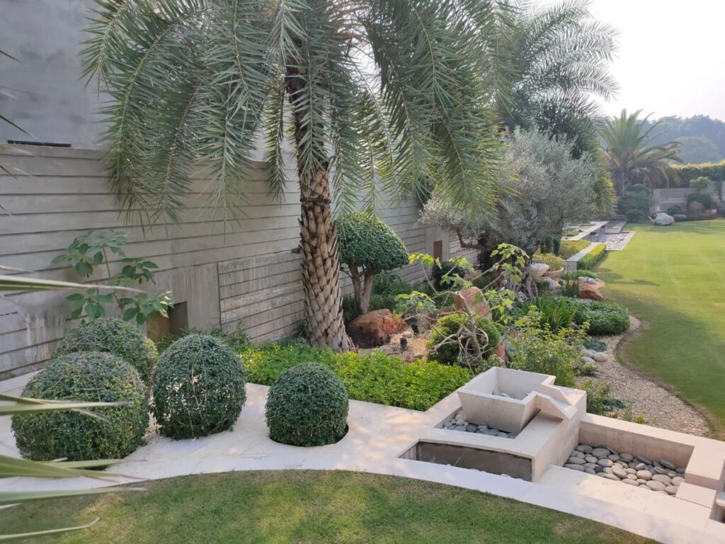 "Modern outdoor space at US Apparel House with clean hardscape and lush plantings – Executed landscape"