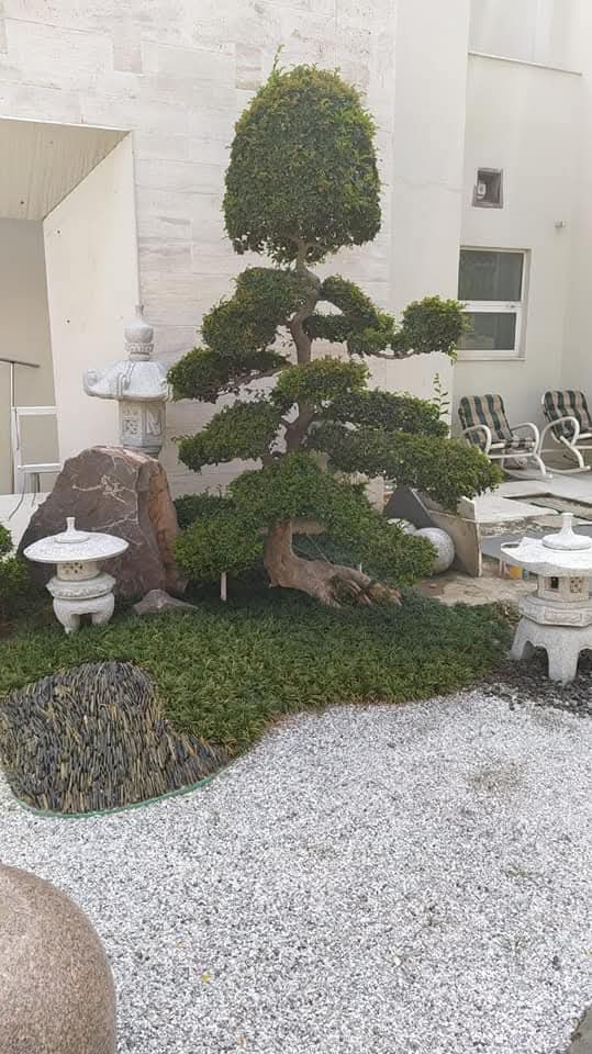 "Commercial-style landscape for US Apparel House with structured lawn and garden beds"