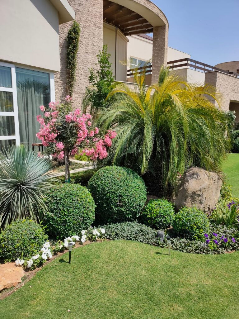 "US Apparel House outdoor area with elegant pathways and curated vegetation – Residential landscaping"