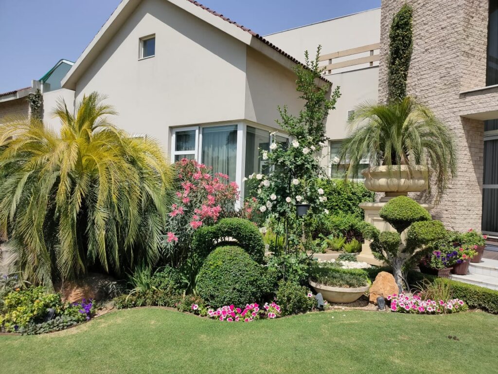 "Minimalist landscape layout at US Apparel House with geometric patterns and greenery"