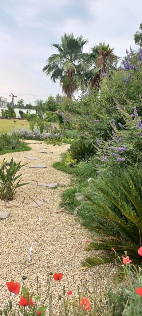"Warm-toned paving and aromatic herbs in Mediterranean garden design – Executed residential landscape"