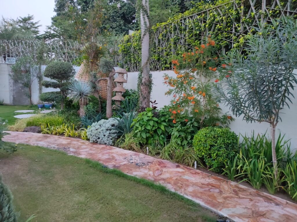 "Olive trees and terracotta elements in a Mediterranean-style residential garden – LandscapeCompany.pk project"