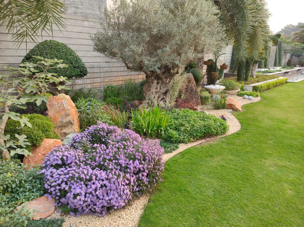 "Lush and inviting Mediterranean courtyard garden with native textures and accents – Landscape execution"