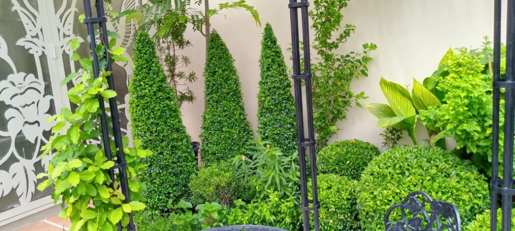 "Timeless classical landscape design with stone pathways and structured greenery"