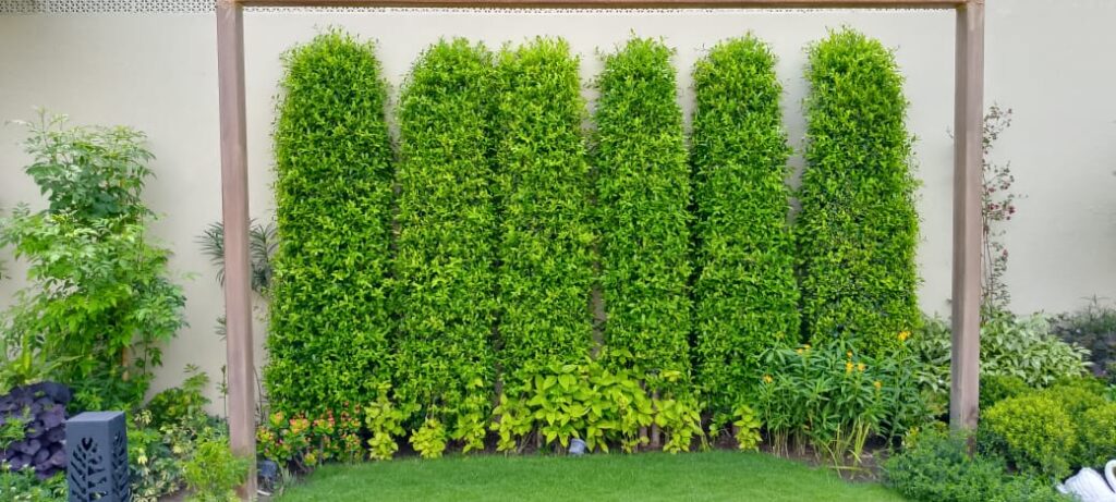 "Elegant water feature surrounded by trimmed shrubs – Classical Garden landscaping installation"