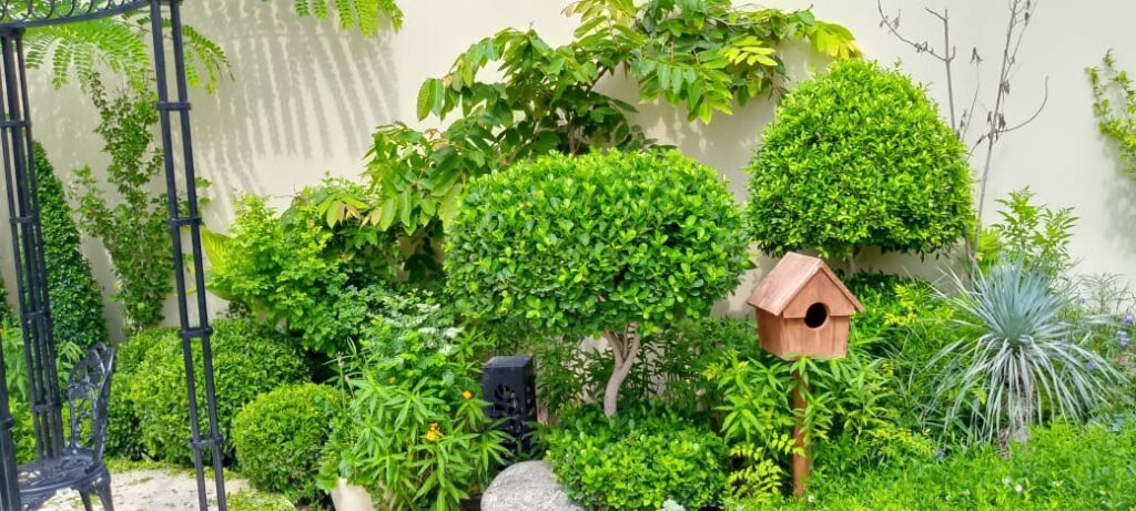 "Classical garden landscape with formal symmetry and manicured hedges – residential execution project"