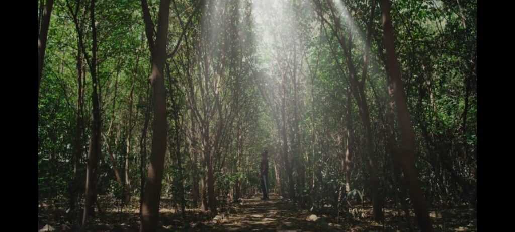 Miyawaki Urban Forest